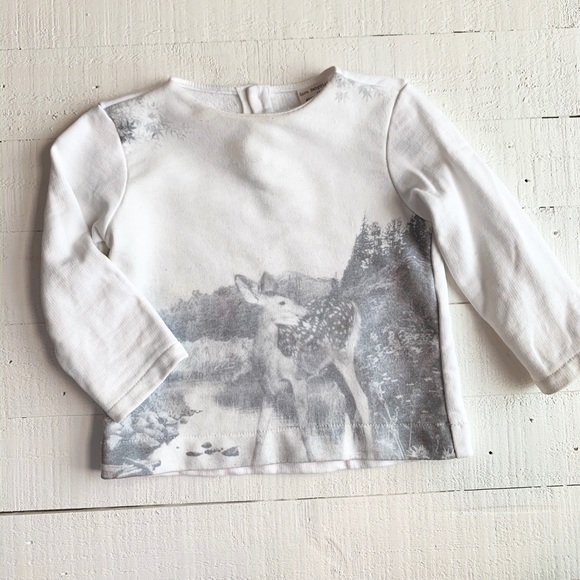Zara Other - Zara sweatshirt size 9-12 months